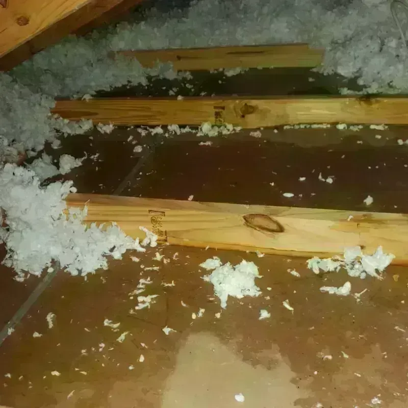 Attic Water Damage in Moody, TX