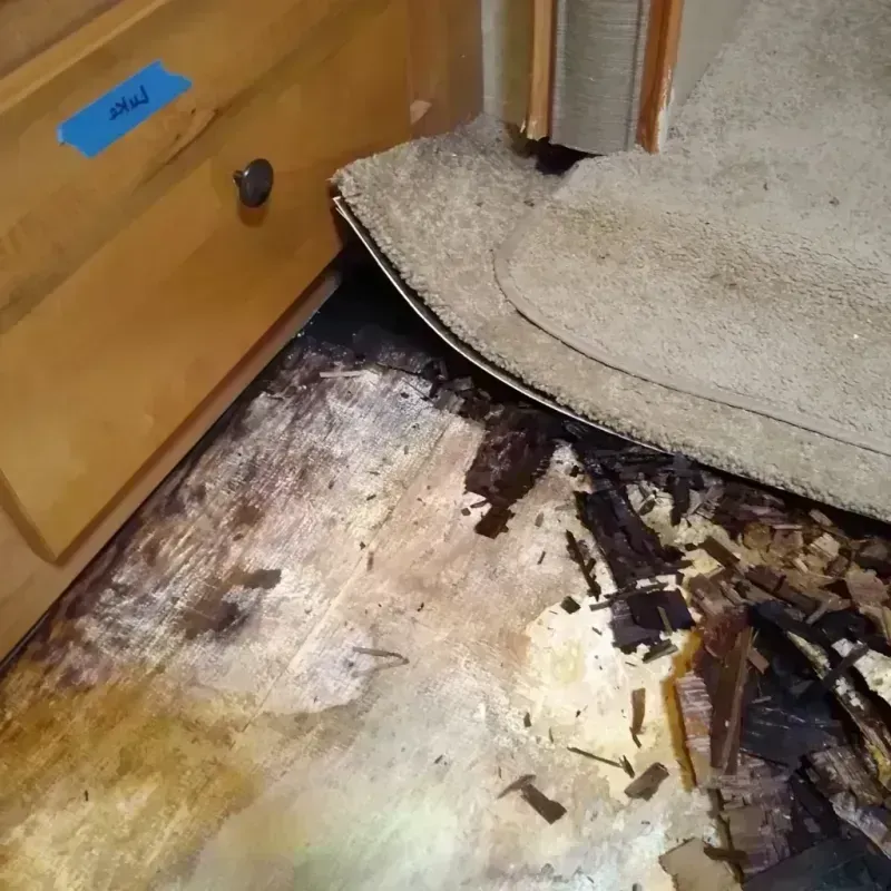 Wood Floor Water Damage in Moody, TX